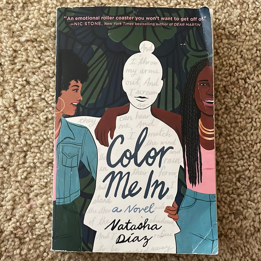 Color Me In Novel By Natasha Diaz